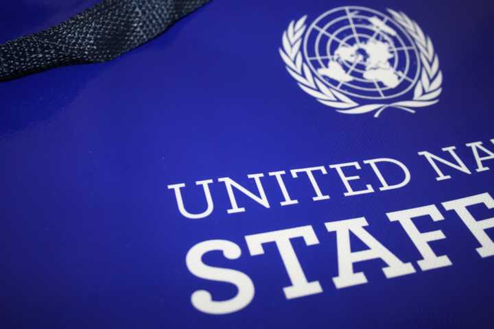Non-Woven-Tasche